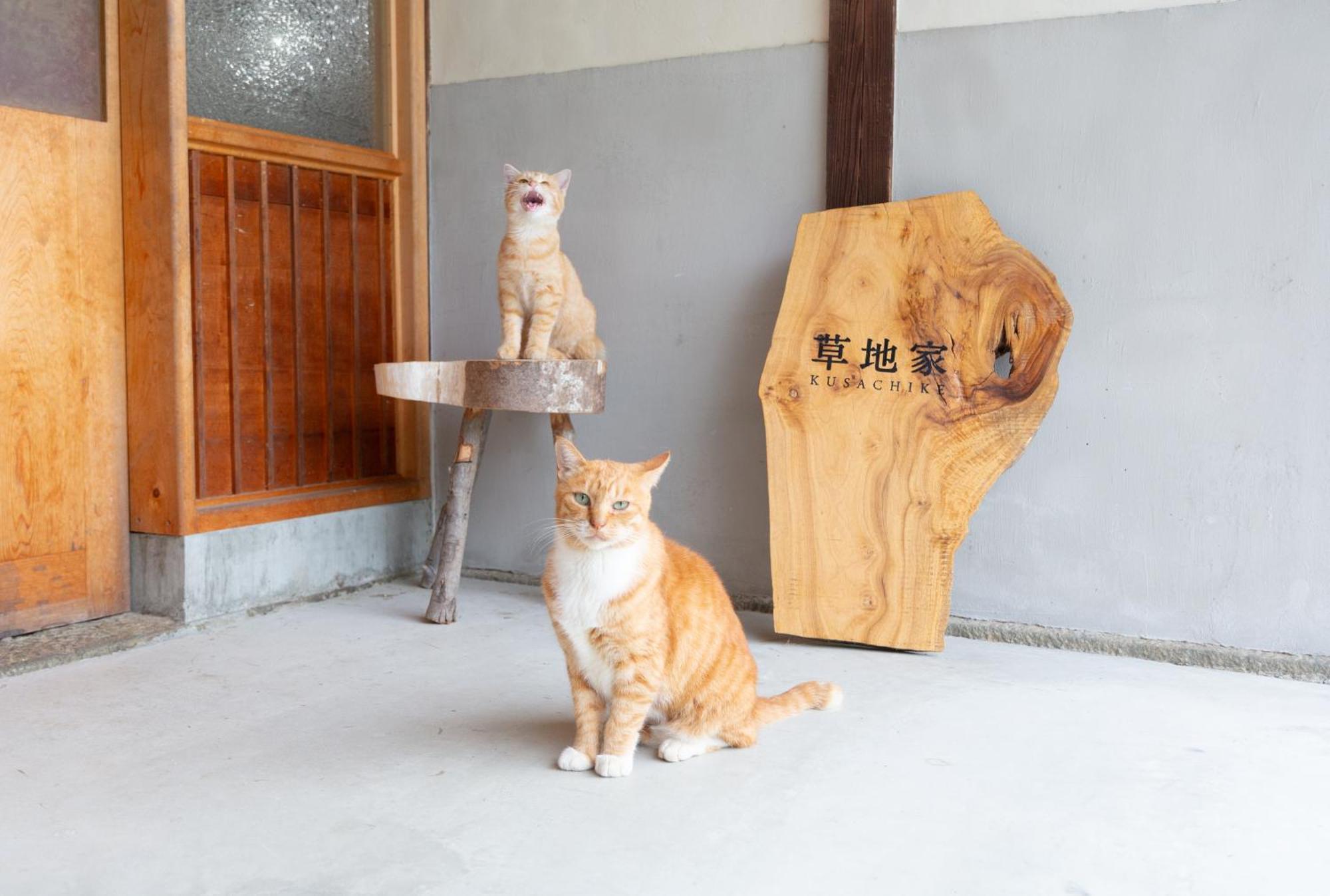 猫と図書館のある宿 草地家 Kusachike 南淡路市 外观 照片